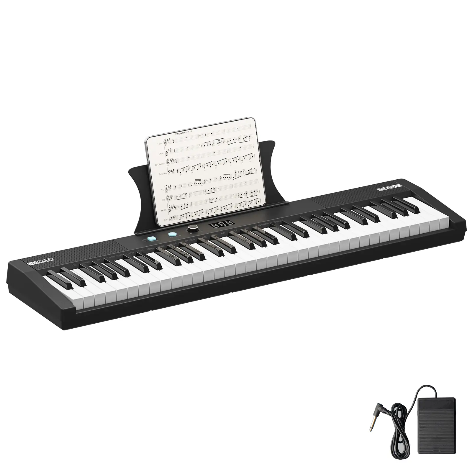 61-Key Semi-Weighted Portable Keyboard Piano Set - Digital Pianos with Stand, Stool, Pedal, Built-In Speakers, Power Supply - Ideal for Beginners, Holiday & Birthday Gifts