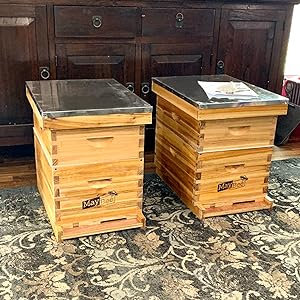 8-Frame Beehive Box Langstroth Medium Super Bee Box for Sale Wax Coated Bee Hives Includes Wooden Frames & Waxed Foundations