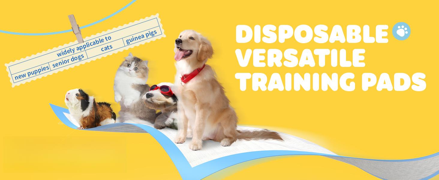 40 Count 24" x 36" XL Disposable Dog Pee Pads, Super Absorbent Leakproof Quick Drying Puppy Pee Pads for Dogs, Extra Large Disposable Dog Training Pads