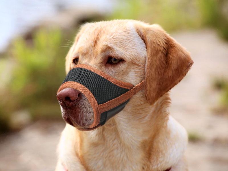 Dog Muzzle,Soft Nylon Muzzle Anti Biting Barking Chewing,Air Mesh Breathable Drinkable Adjustable Loop Pets Muzzle for Small Medium Large Dogs 4 Colors 4 Sizes (Black, L) PET MUZZLE pet muzzle