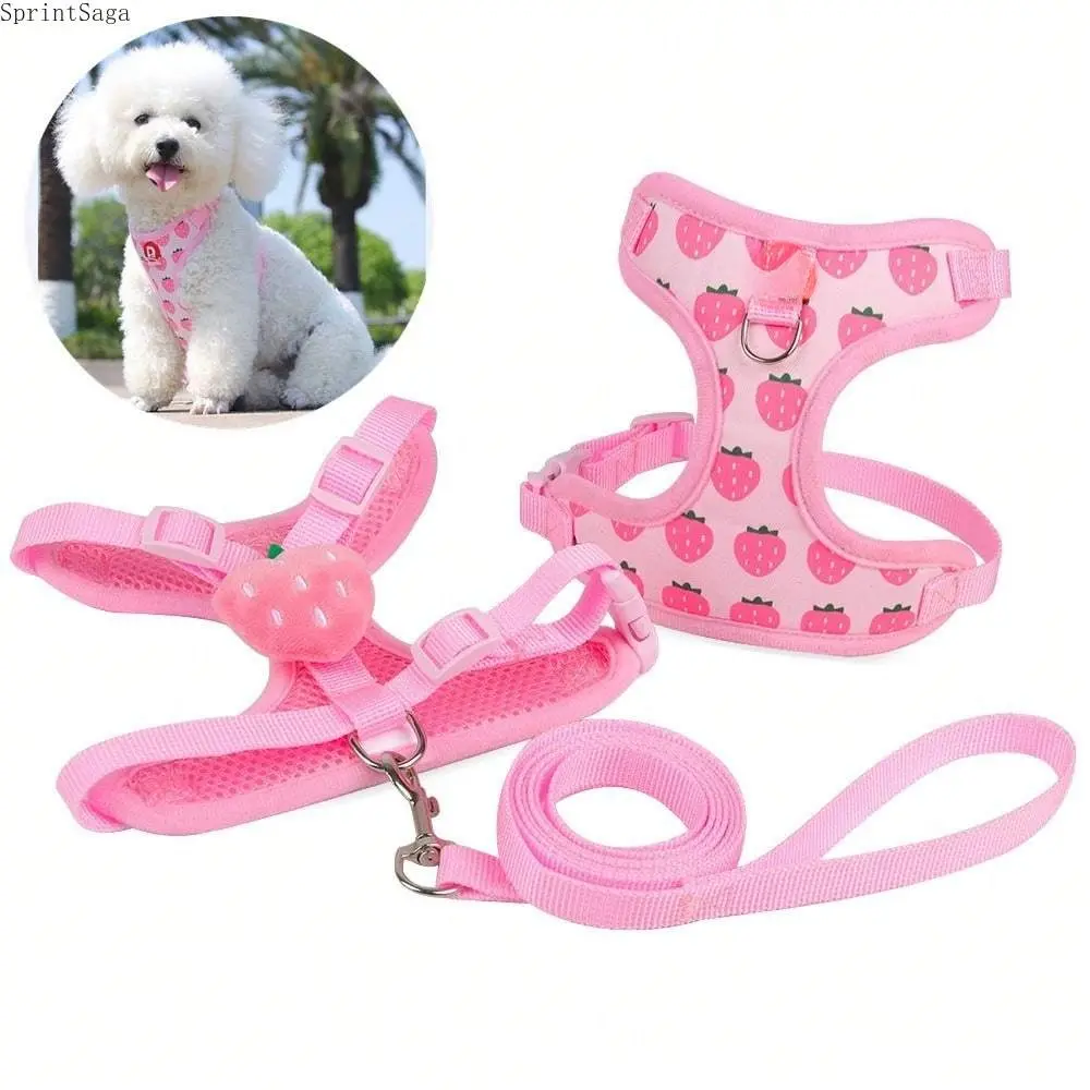 Breathable Mesh Cat Harness and Leash Set for Small Pets, No-Choke Escape-Proof Vest with Adjustable Fit for Outdoor Walking, S