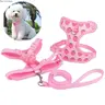 Small Pet Mesh Vest Harness and Leash Set - Adjustable Fit, Escape-Proof, No-Choke Design for Outdoor Walking, Size S, Collars & Harnesses & Leads Pet Accessory (Luggage & Bags Bag Accessories Category)