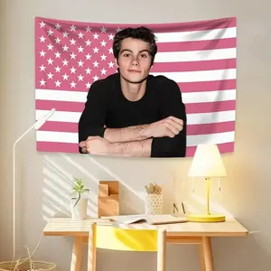 Dylan O'Brien Maze Runner Pink American Flag Tapestry, Actor Fan Banner Poster, Teen Girl College Dorm Decor Aesthetic, Y2K Bedroom Wall Art Background