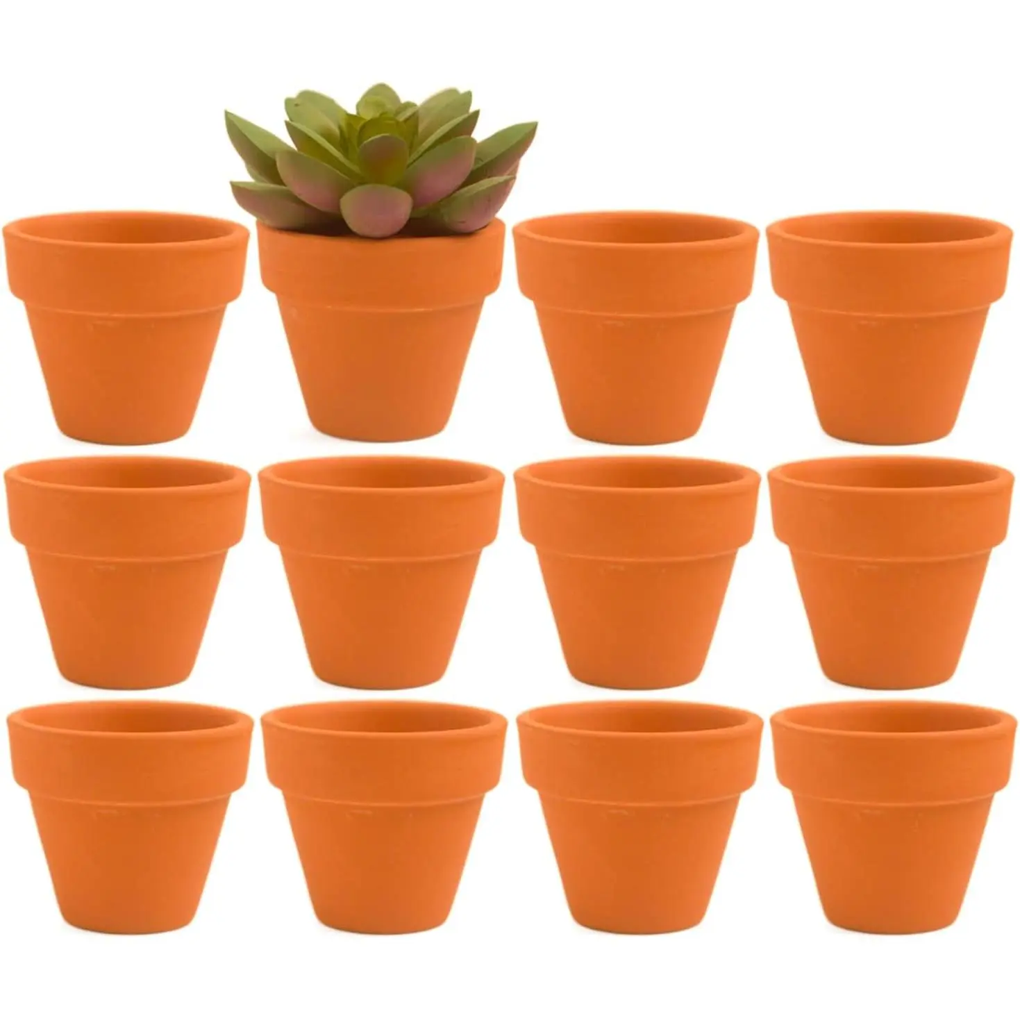 Mini Terracotta Clay Flower Pots 2 inch with Drainage Holes for for  Cactus  lithop,Small Succulent Planter   Pot for  Garden Table DIY Hand Craft  Decoration-12 Pack