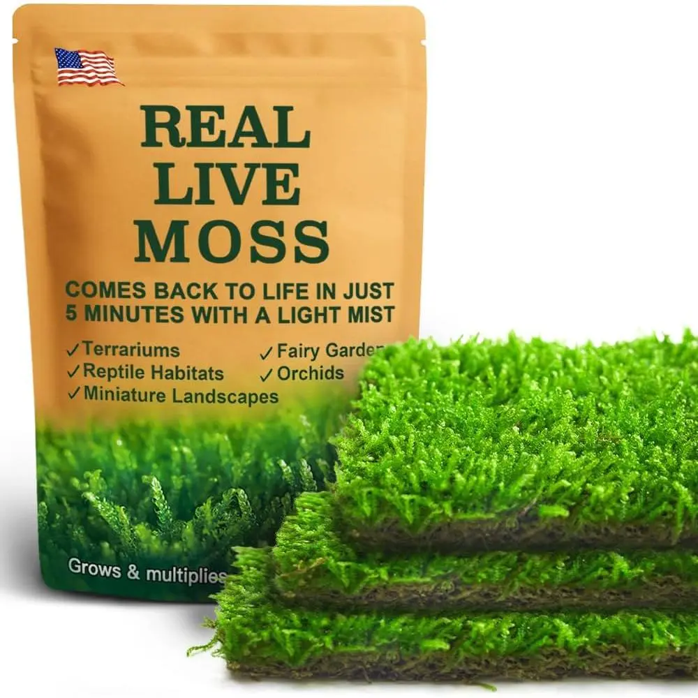 Real Live Hypnum Moss (8"x8") -  Sheet Moss for Terrariums, Bonsai, Reptile Habitats & Fairy Gardens - , Easy to Shape & Revives  with Mist