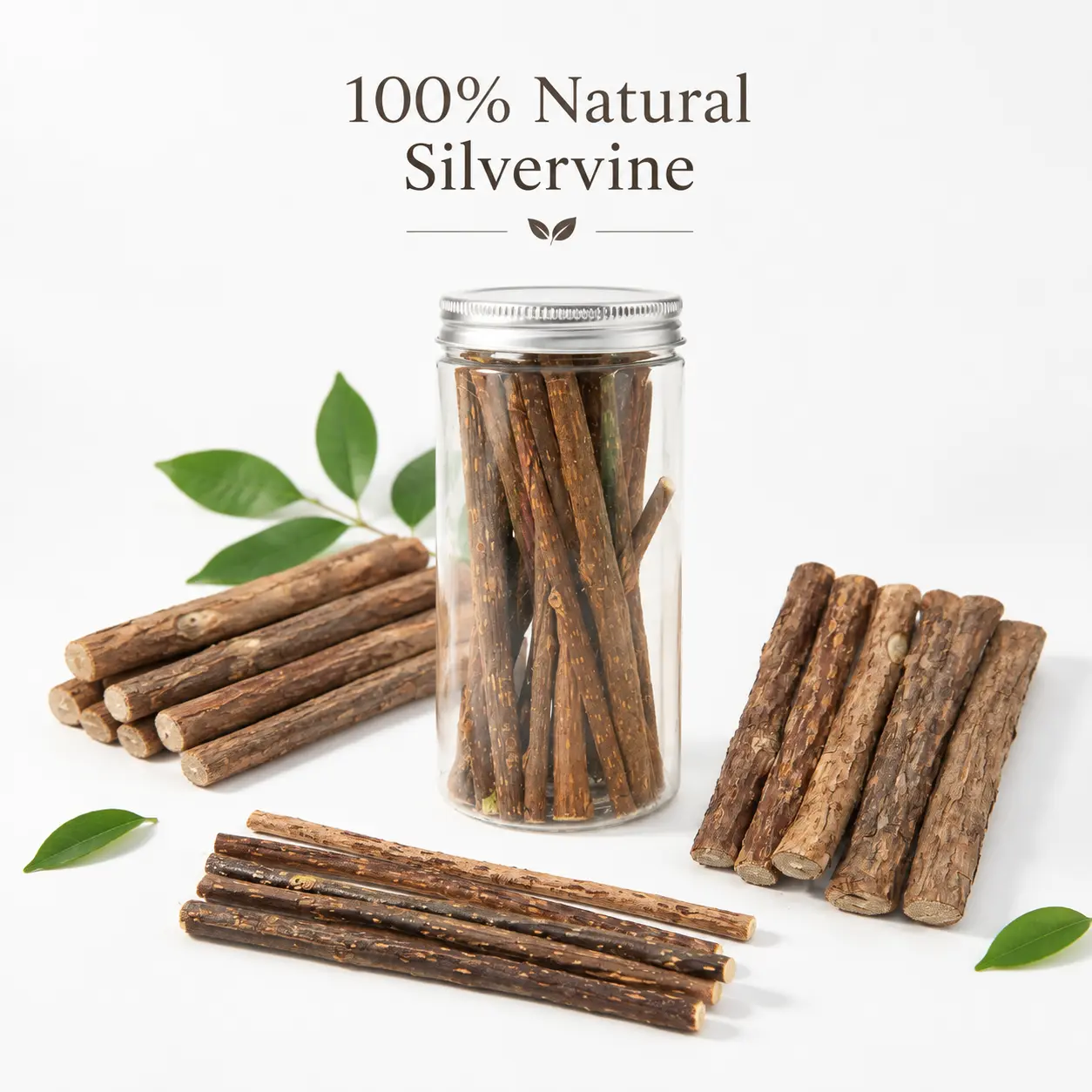 Silvervine Cat Chew Sticks, Matatabi Dental Toy for Teeth Cleaning, Breath Freshening & Boredom Relief, Chew Toy for Cats & Kittens