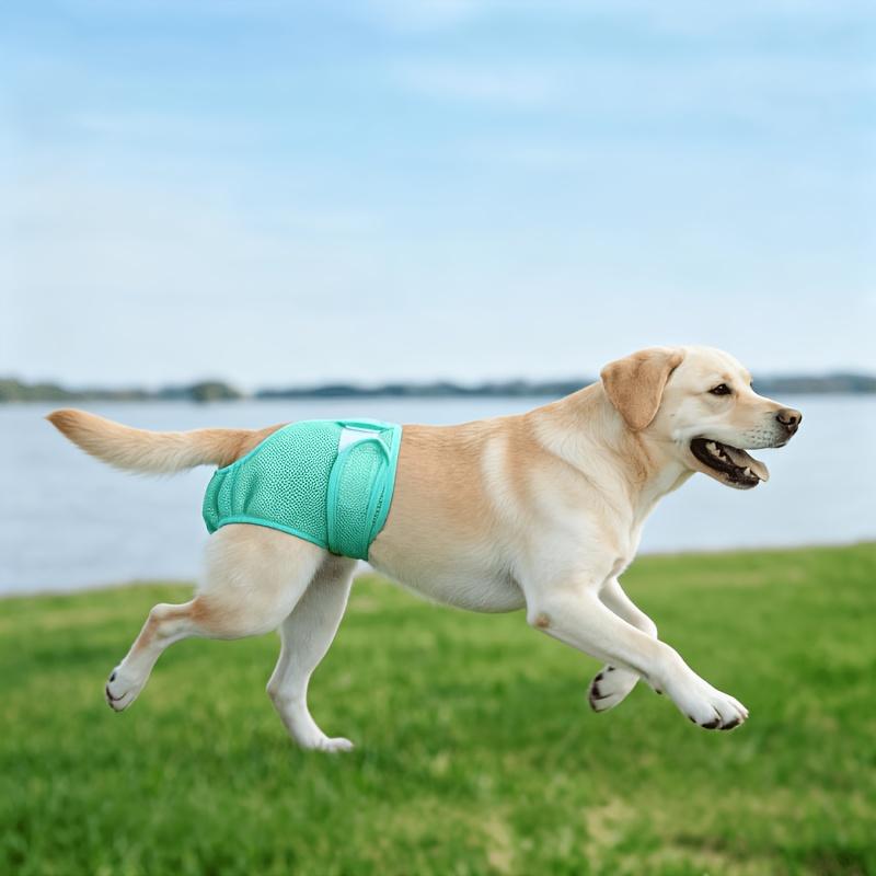 New Pet Female Dog Period Pants in 5 Colors, Comfortable, Leak-proof, and Breathable. Anti-harassment Modesty Pants, Reusable Dog Menstrual Pants, Dog Diapers. Suitable for Small, Medium, and Large Dogs. for All Seasons
