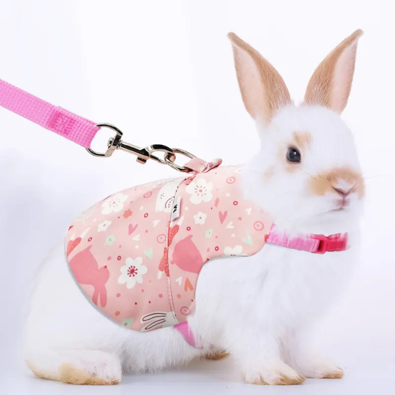 New Rabbit Harness and Leash, Small Pet Lead Rope, Anti-Slip Chest Strap, Dog and Cat Supplies, Nylon Material, Universal Size, Harness Leash Set