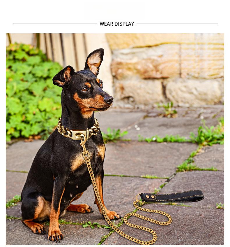 Gold Stainless Steel Dog Leash NK Training Chain for Small to Large Dogs Heavy Duty Hip Hop Bling Lead Secure & Durable