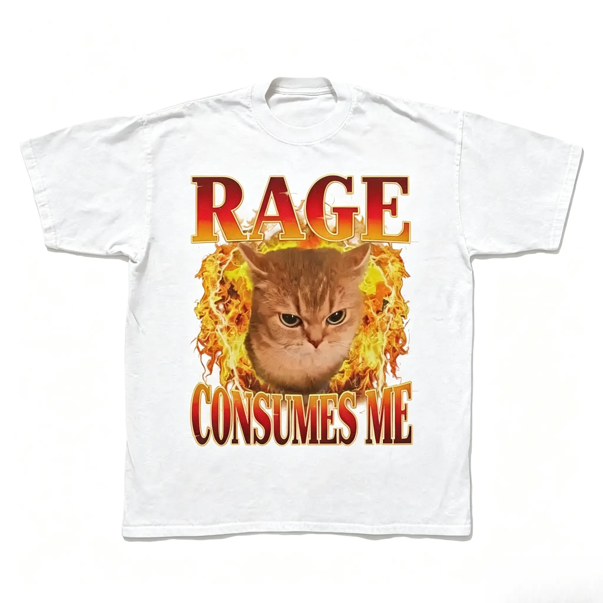 Rage Consumes Me T-Shirt, Angry Cat Graphic Tee, Funny Dark Humor Shirt, Vintage Washed Style Top, Unisex Casual Oversized Short Sleeve