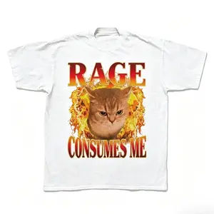 Rage Consumes Me T-Shirt, Angry Cat Graphic Tee, Funny Dark Humor Shirt, Vintage Washed Style Top, Unisex Casual Oversized Short Sleeve