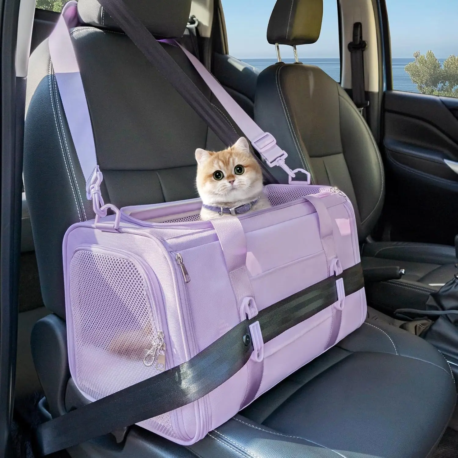Soft-Sided Cat Carrier with Patented Safety Buckles, Lockable Zippers & Safety Tether,Escape-Resistant Travel Pet Carrier for Car Rides & Vet Visits, Airline Approved Under-Seat, Up to 12 lbs