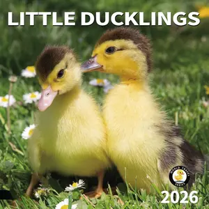 2026 Wall Calendar, Calendar 2026, July 2025 - December 2026, Wall Calendar Little Ducklings, 12" x 24" Opened,Full Page Months Thick & Sturdy Paper for Calendar Organizing & Planning