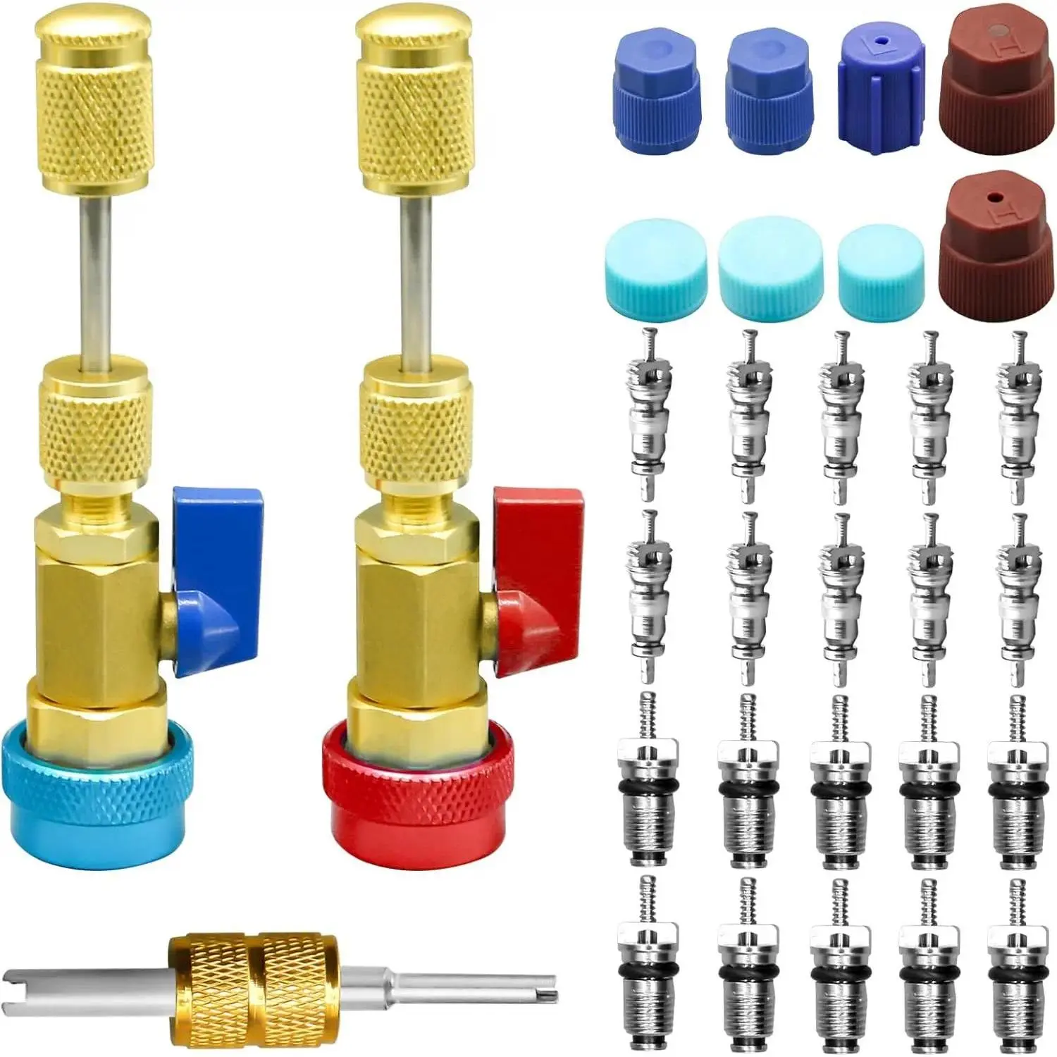 31pcs Valve Stem Set, Air Conditioning Pressure Retention Tool, Air Conditioning Valve Core Removal and Installation Tool Kit—Schrader Valve Cores and Caps for R134A and R12 Air Conditioning Refrigeration Systems—Professional-Grade, Durable,Easy to Use