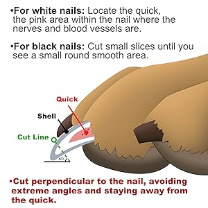 LED Dog Nail Clipper with Light, Illuminates Nails or Bloodline for Safe and Easy Trimmers, Extra Sharp for Thick Nails, Quick Sensor, Avoid Over Cutting Toenail, for Cats & Dogs