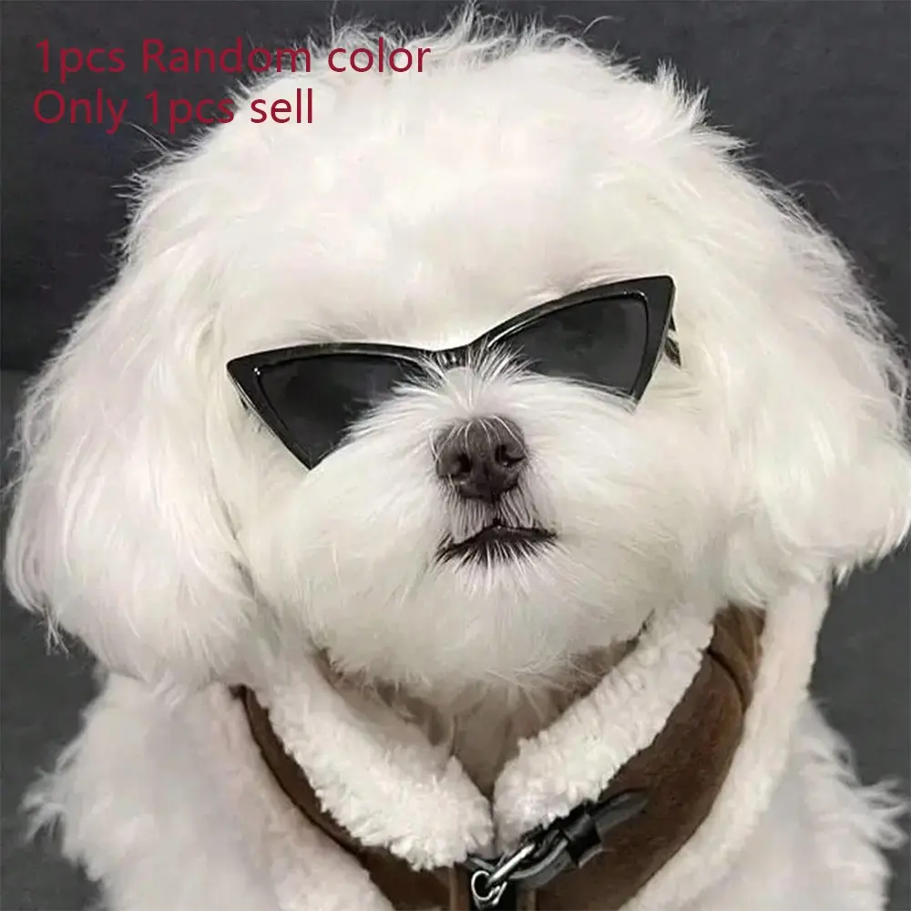 Pet Triangle Sunglasses, Cat Glasses, Small Eyewear Photo Prop, Pet Accessories, Pet Toys, Pet Supplies, Cute Animal Shades, Poodle