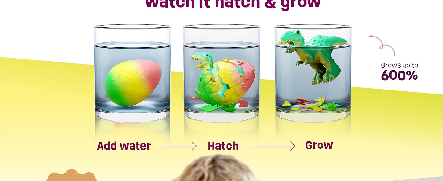 Dan&Darci Dinosaur Hatching Surprise Eggs for Kids - 6 Pack - Grows 600% - Dino Egg Toys for Boys & Girls Age 3-8 - Gift Ideas, Party Favors, Basket Stuffers - Gifts for Girls Ages 3 4 5 6 7 8
