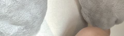 Digimon Adventure Gabumon Hat Anime Peripheral Plush Toy Cos Anime Figure Two-dimensional Cartoon Kawaii Scarf Gloves Gift