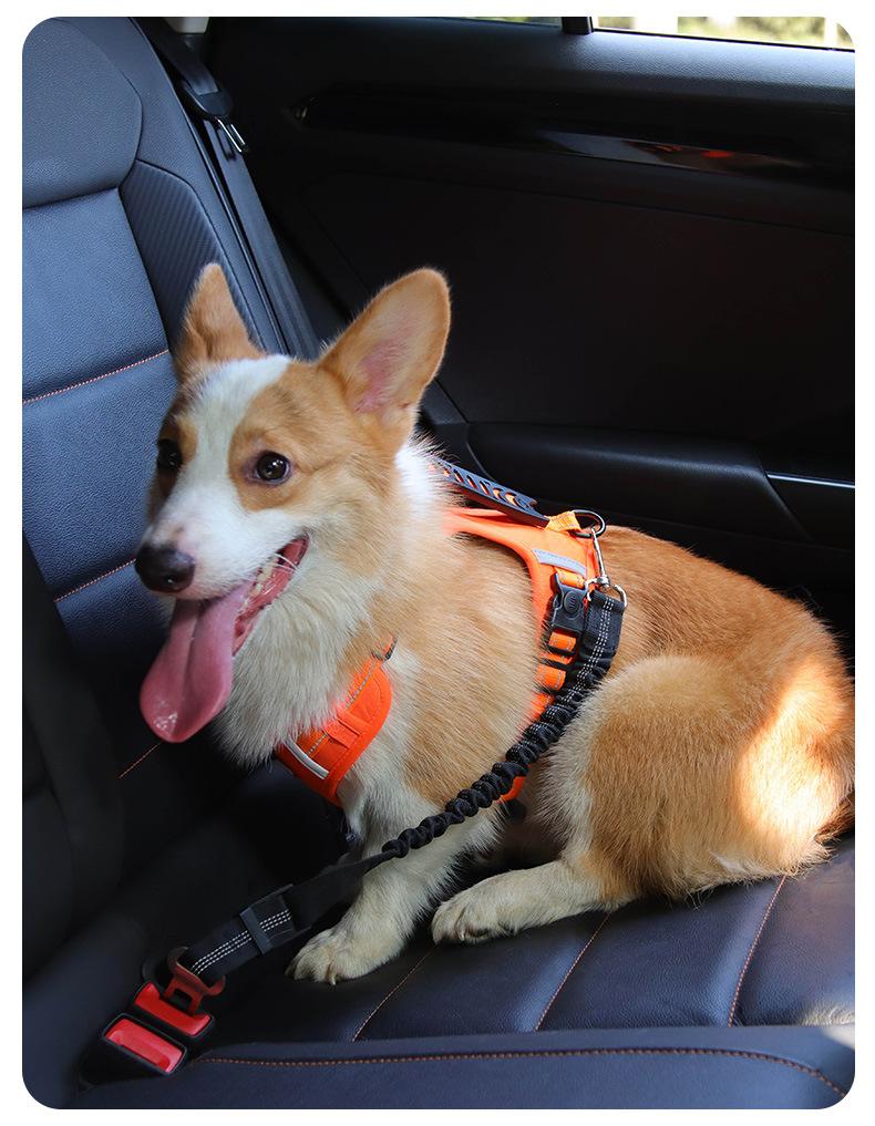 Dog Car Safety Seatbelt, Retractable Bungee Dog Leash, Shock Absorbing Reflective Safety Leash with Steel Buckle, Adjustable Length 20.87-29.53in for Pet Travel, Heavy Duty Vehicle Restraint for Small Medium Large Dogs, Anti-Pull Comfort Walking Leash