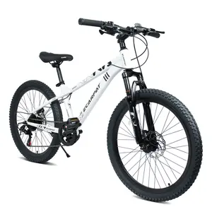 24 Inch Mountain Bike with Steel Frame for Men and Women, 21-Speed, Front Suspension, Dual Disc Brakes, Non-Slip Rubber Tires