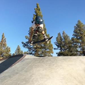 skateboard carry WhiteFang Skateboards for Beginners, Complete Skateboard 31 x 7.88, 7 Layer Canadian Maple Double Kick Concave Standard and Tricks Skateboards for Kids and Beginners skater  xl