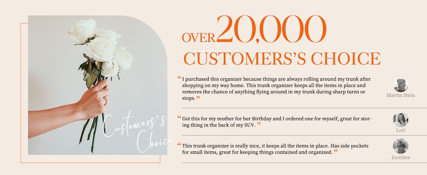 Trunk Organizer, Sturdy Foldable with Cooler for Car & SUV, 3 Compartments, Black, 30.90"*12.60"*10.63"