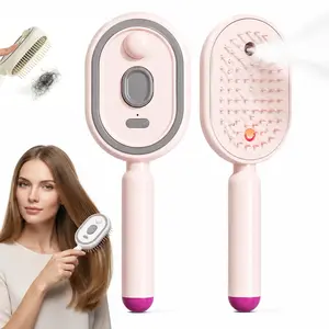 1 PC 2026 New Electric Steam Brush for Hair, Upgrade Rechargeable 3 in 1 Self Cleaning Hair Brush with Water Spray, Electric Spray Air Cushion Massage Comb for Long Short Hairs Frizz Control No Essential Oil Included