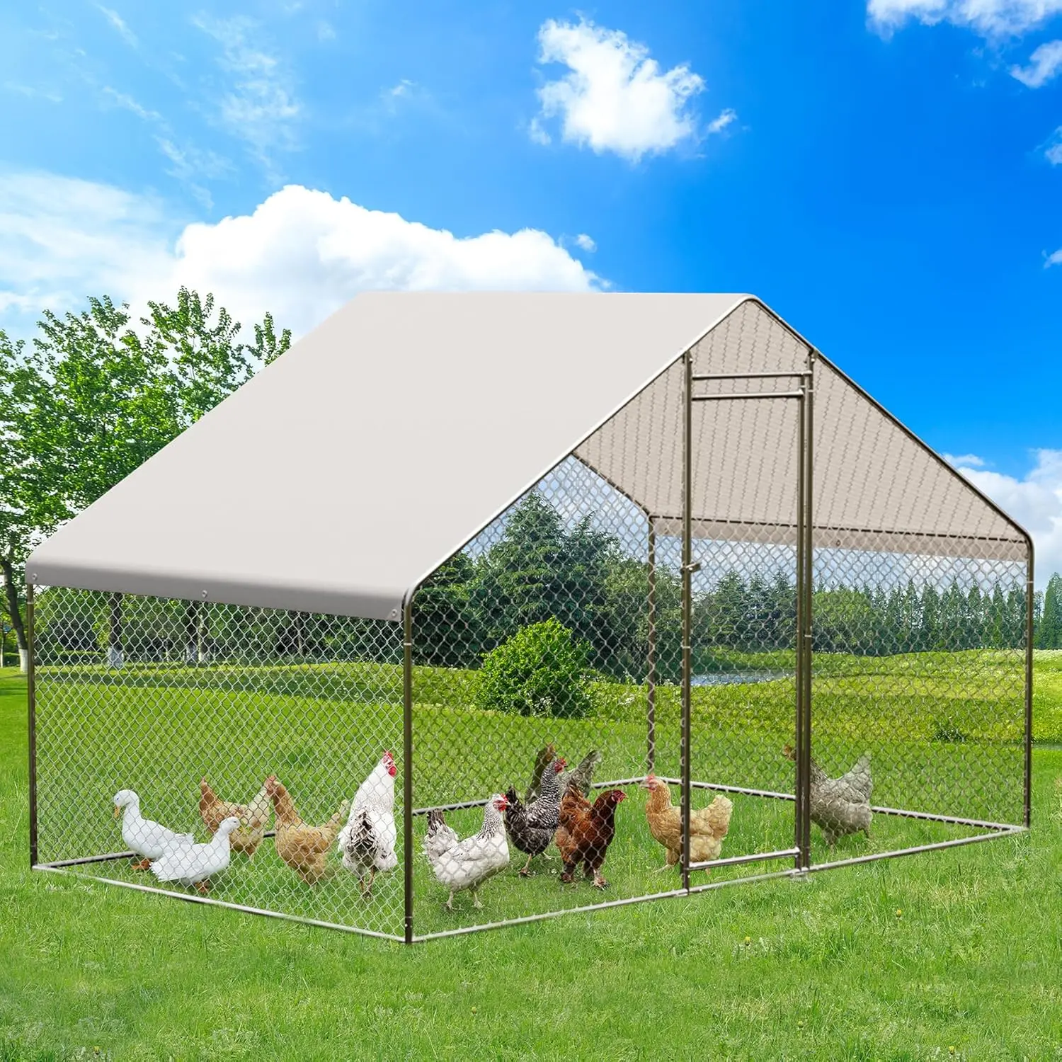 Walk-In Metal Chicken Coop, 9.8x6.5x6.5 Ft Space-Saving Backyard Poultry Wire Enclosure Cages & Accessories