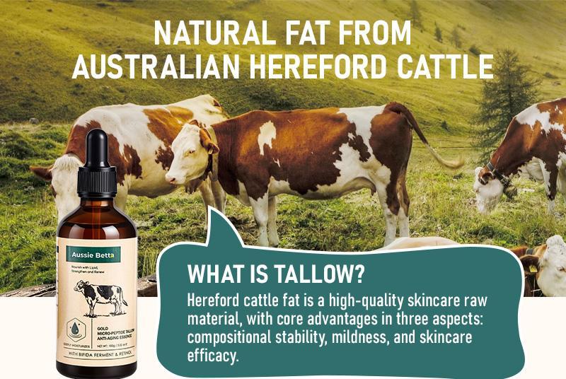 Aussie Betta Golden Micro-Peptide Tallow Serum with Niacinamide & Bifida Skin Repair Formula for Fine Lines & Dark Spots No Irritation Visible Results Firm Anti Aging Firming Deep Hydration| Gift Christmas Skincare Aussie Betta Golden Micro-Peptide Tallow Serum with Niacinamide & Bifida Skin Repair Formula for Fine Lines & Dark Spots No Irritation Visible Results Firm Anti Aging Firming Deep Hydration| Gift Christmas Skincare