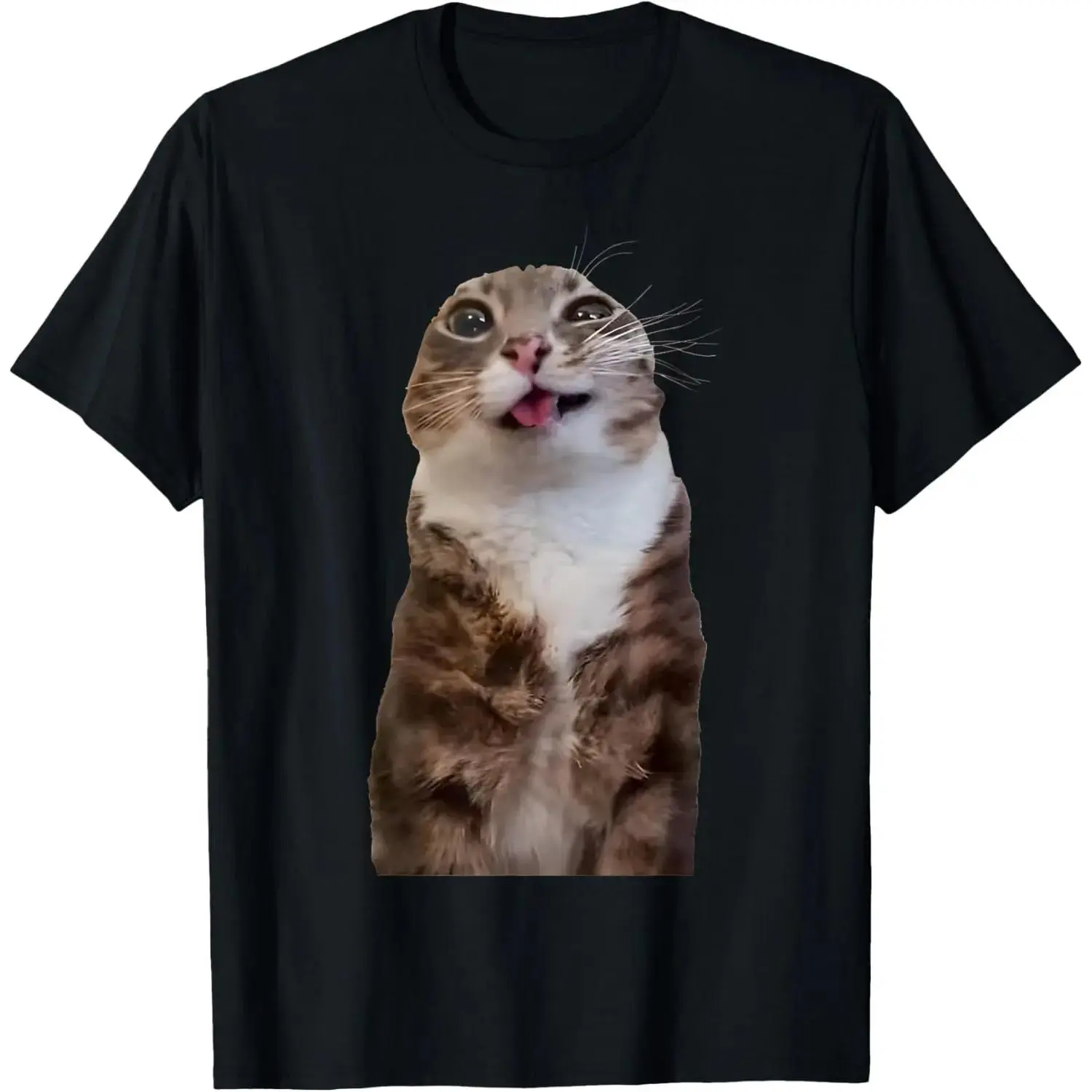 Graphic Tees Streetwear Gifts Rigby Cat Funny Rigby Cat Meme Rigby Cat Silly Cat Trendy T-Shirt Casual Soft Breathable