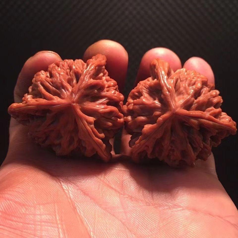 Peach Core Three-Sided Walnut No Splicing Lion Running Three-Path Stem Irregular Shape Toad Head Kirin Pattern Decor Ornaments