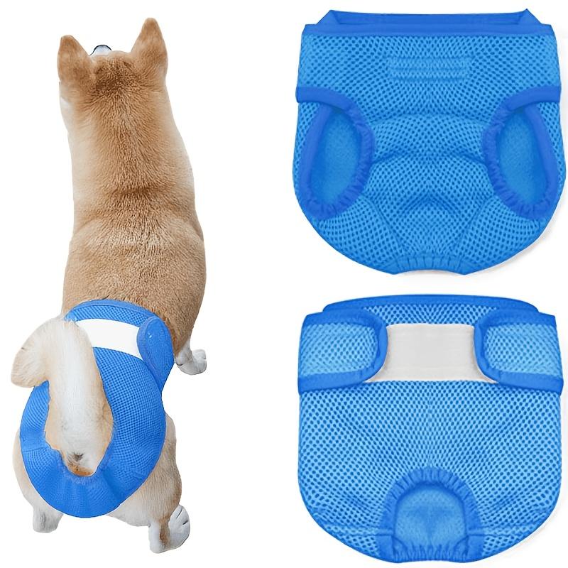 New Pet Female Dog Period Pants in 5 Colors, Comfortable, Leak-proof, and Breathable. Anti-harassment Modesty Pants, Reusable Dog Menstrual Pants, Dog Diapers. Suitable for Small, Medium, and Large Dogs. for All Seasons
