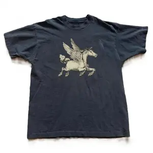 Y2K Pegasus graphic tee Size S-5XL