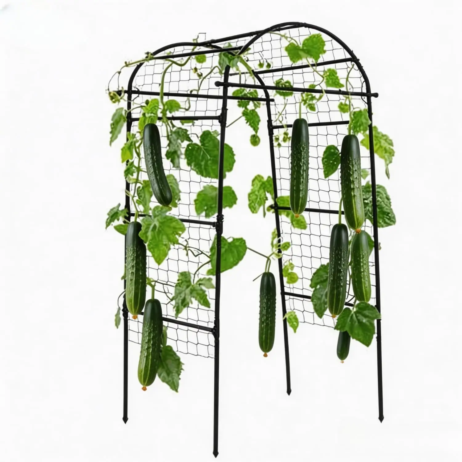 Metal Garden Arch Trellis Heavy Duty Climbing Plant Support U Shaped Rustproof Plant Arbor for Raised Bed Cucumber Peas Beans Vegetable Grapes Rose Vine Flower Greenhouse Pathway Outside Yard Lawn Decor