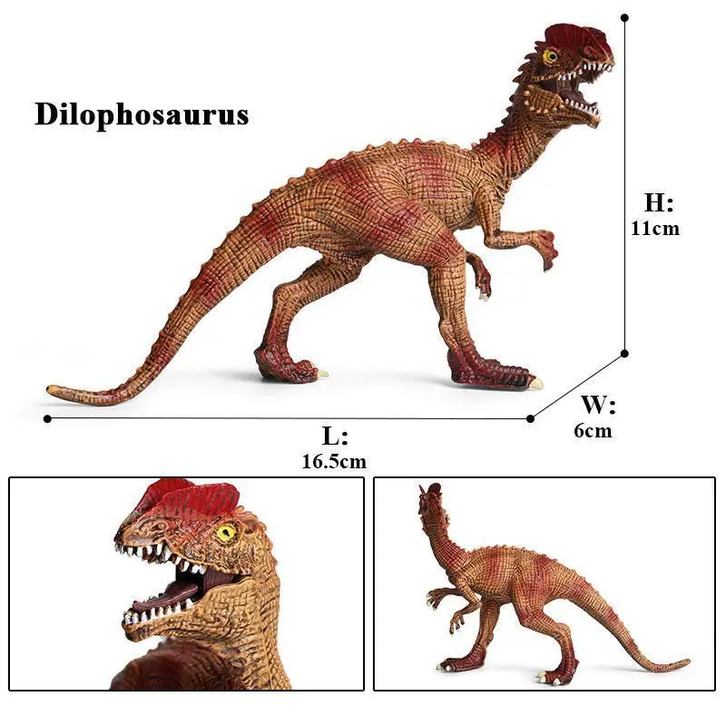 dinosaur model-8