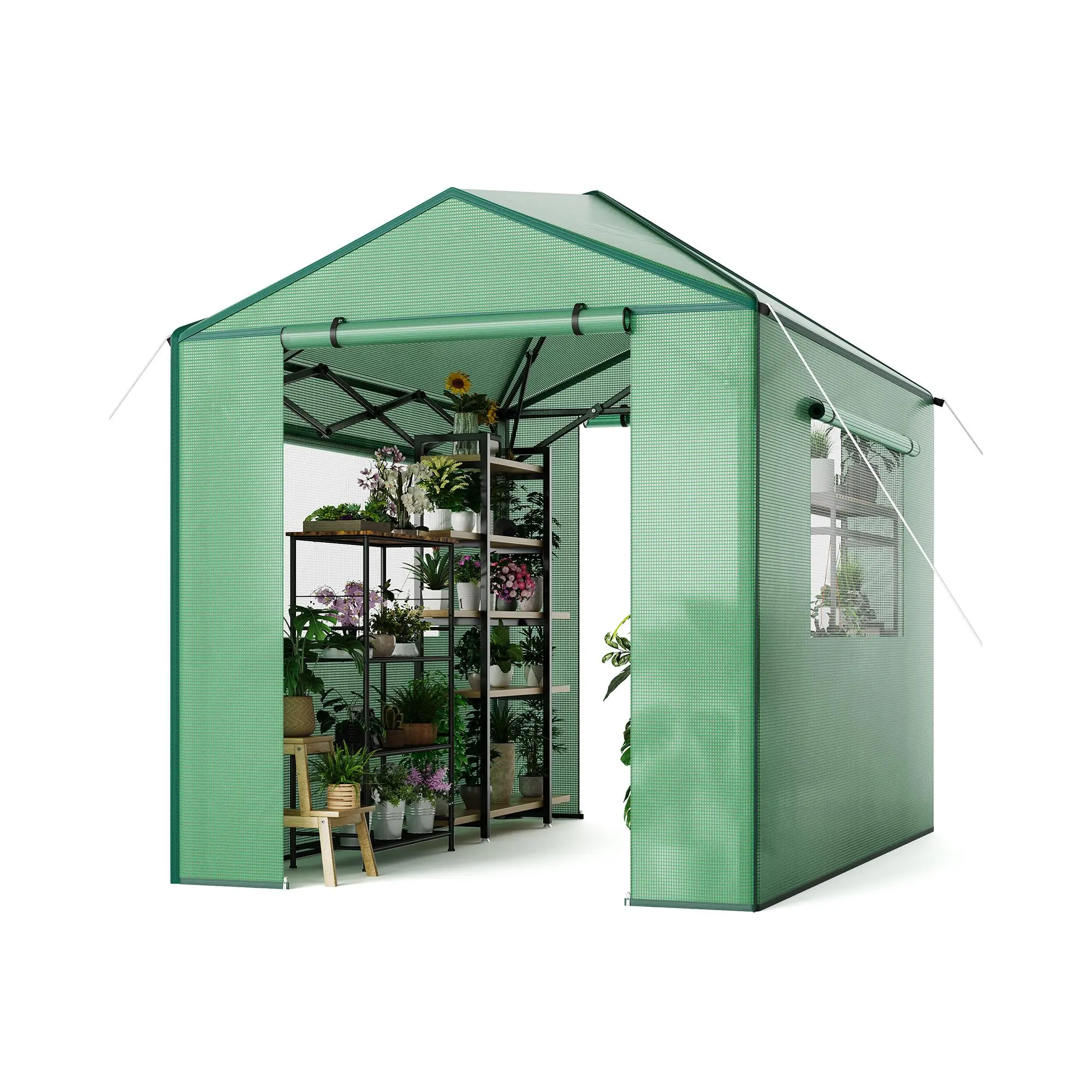 6x8 ft and 8x12 ft Pop-Up Walk-In Greenhouse, PE Green, No-Assembly, One-Button Lift, Galvanized Frame