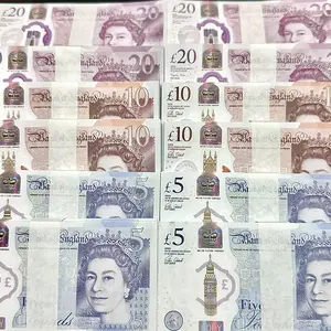100pcs Multi-Denomination British Pound Pet Memorial Coins, Pet Memorabilia, Collectible Coins, Pet Memorial Props Paper
