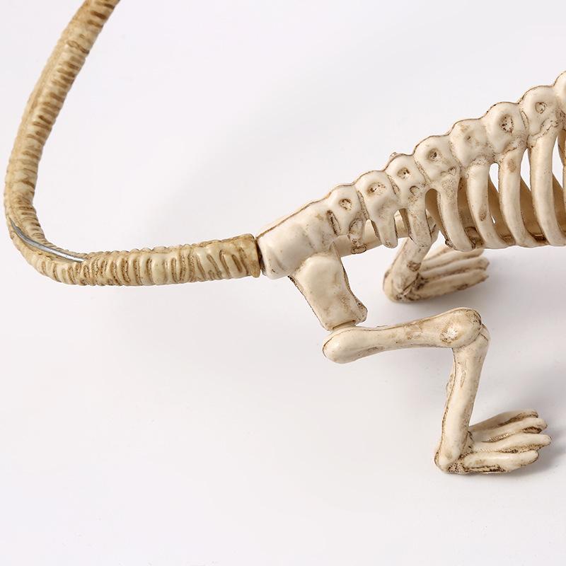 Creative imitation skeleton lizard ornament