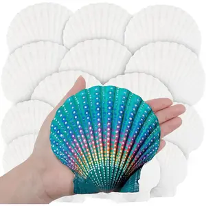 18 count White Large  Purely  Seashells 4-5in and Medium Shells 2-3in for Crafting,  Shells Bulk for Beach Wedding Decorations,  Seashell Party Decorations, Cooking or Painting