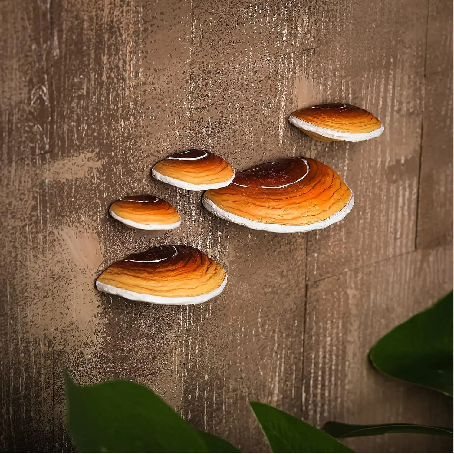 Set of 5 Mushroom Shelves Floating Wall Decor Mini Hanging Cottage Core Wall Decor Cute Adhesive Resin Mushroom Shelf for Terrarium Gecko Reptile Tank Accessories Bedroom Home Kitchen