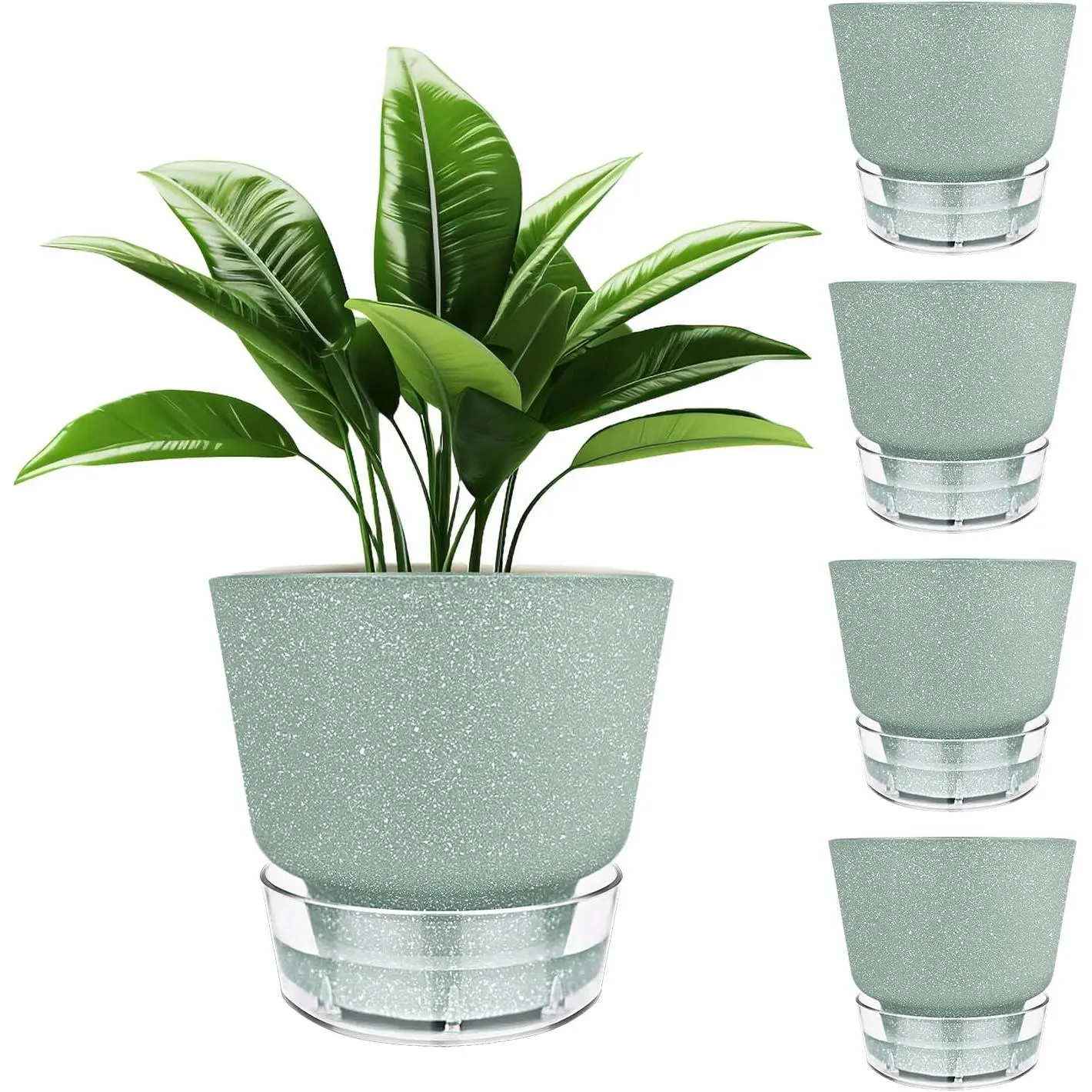 Green Self Watering  Pots - 6" Planters for Indoor  - Pack of 5 Flower Pots -  Pots with Drainage Hole and Tray  (Frosted Dark Green)