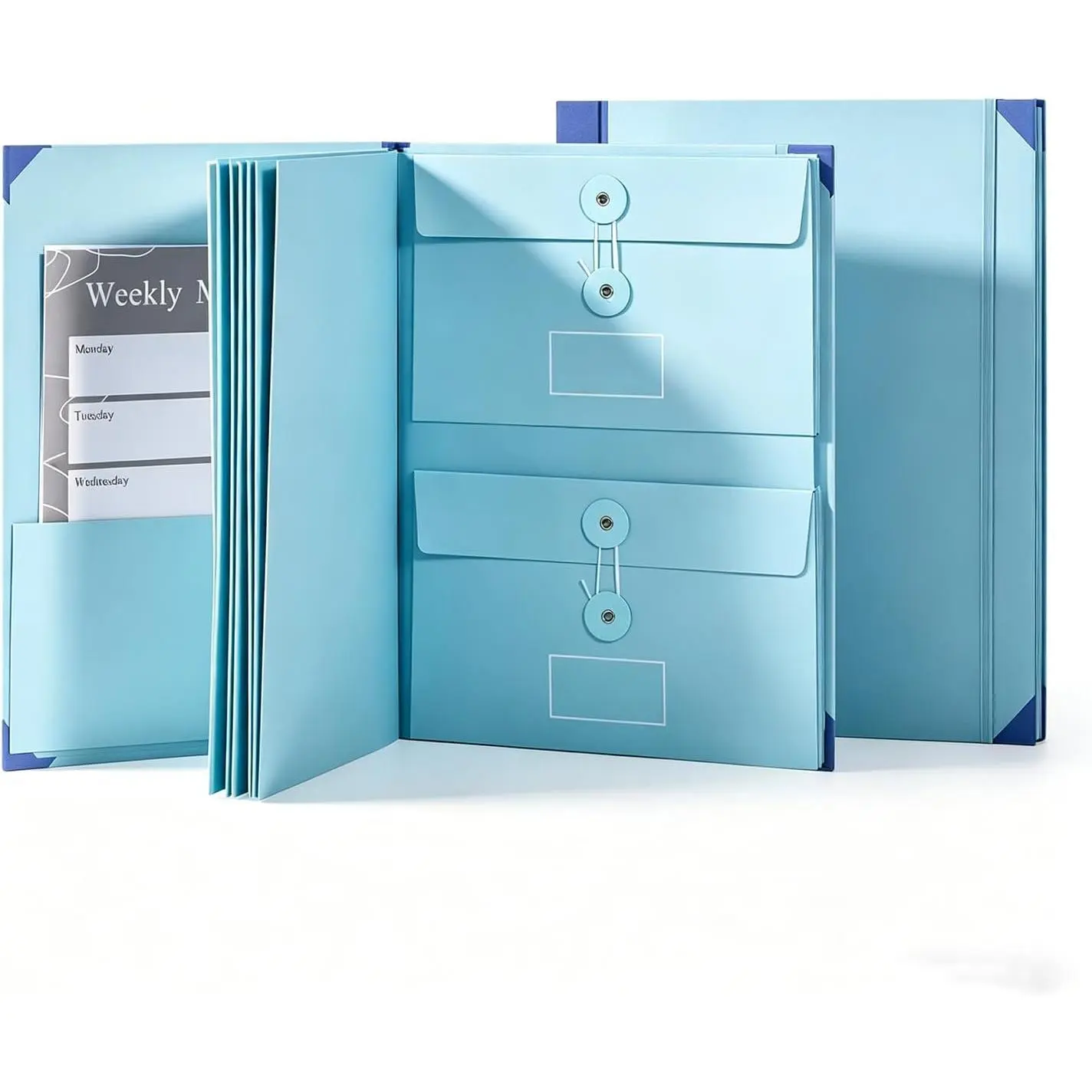 Life Book Document Storage Organizer - Binder with Coded Dividers, Elastic Closure, Labels & Accordion Expanding File Folder for Important Papers/Birth Documents (Blue)