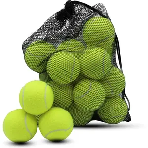 Swingers Tennis Balls,Training Exercise Balls for Pet Dog, High Elasticity Practice Tennis Balls for Beginner, with Mesh Carry Bag Easy to Transport