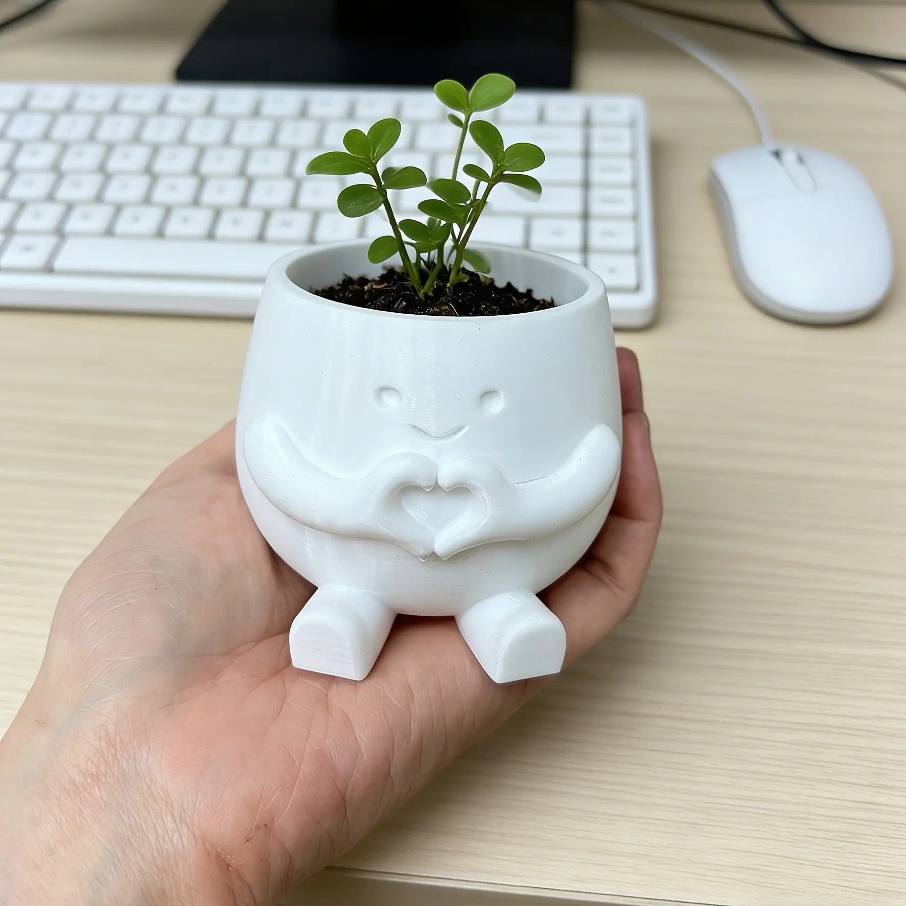 3D Printed Mini Succulent Planter, Cute Office Desk Flower Pot, Creative Garden Patio Decor, 1 Piece, Minor Print Imperfections