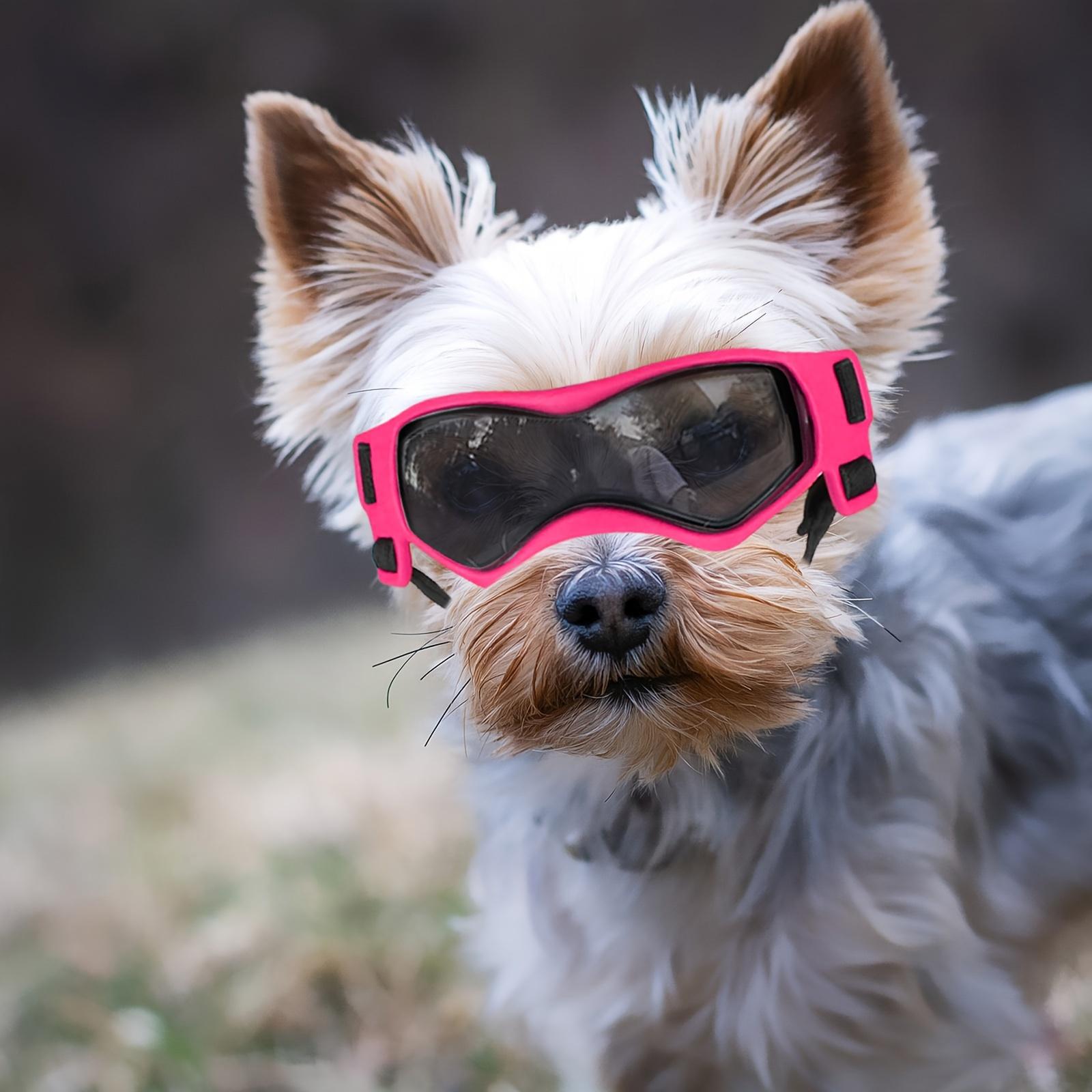 3 Sets of Pink Pet Helmets with Glasses - Windproof And Uv-Protective - Dog Goggles - Puppy Safety Sports Helmet