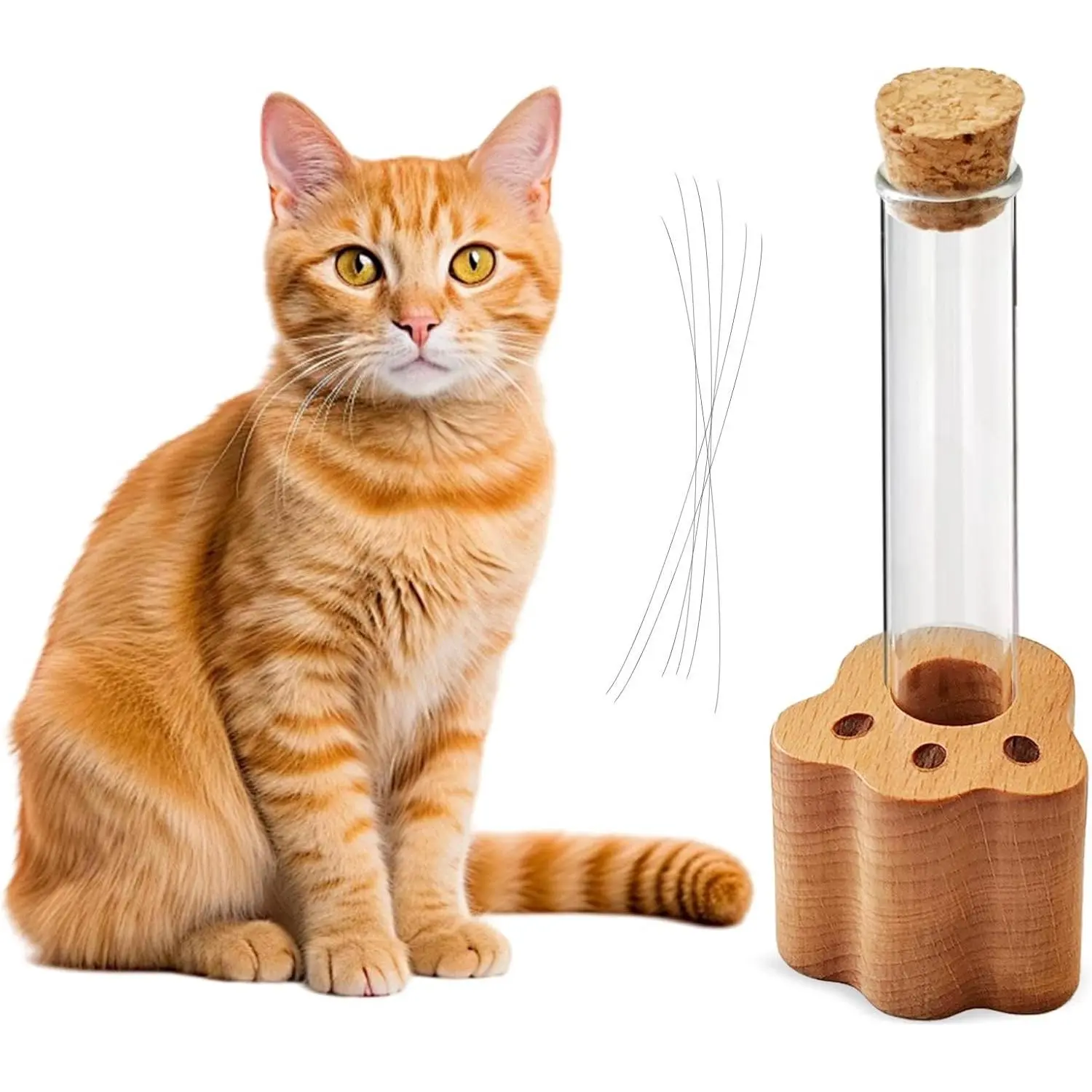 Cat Whisker Jar Mini Glass Vase for Whiskers Cat Whisker Holder Elegant Memorial Gift for Pet Lovers