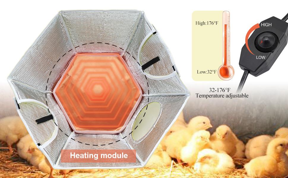 Large Chick Brooder Heating Plate Chick Brooder Box 21.6" Heat Up To 50 Chicks, Chick Warmer Chicken Coop Heater Poultry Brooder For Chick Duckling Quail Goose Bird Hatchling