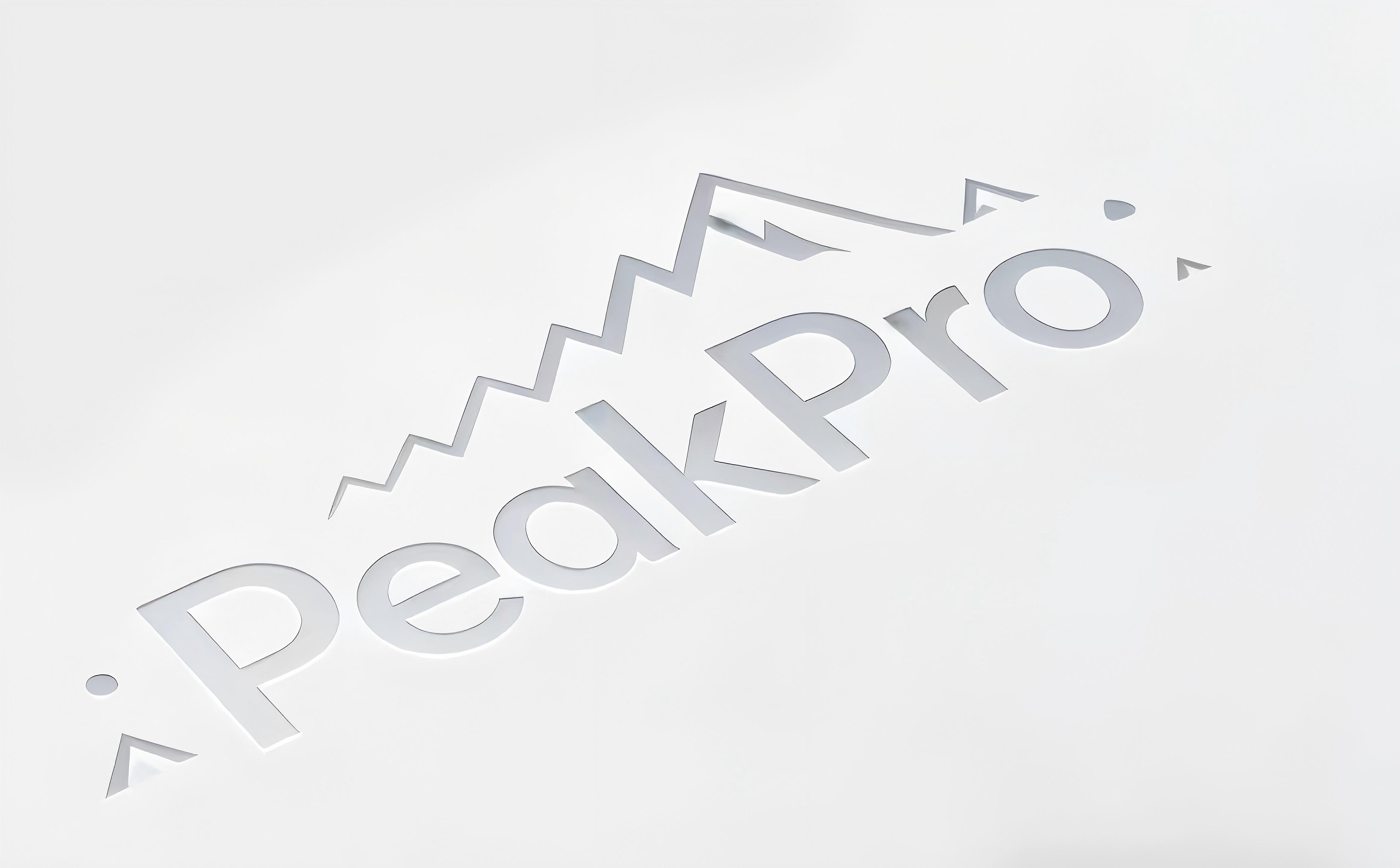 [PeakPro T-shirt]-Funny T-Shirt - Fashionable Unisex T-Shirt