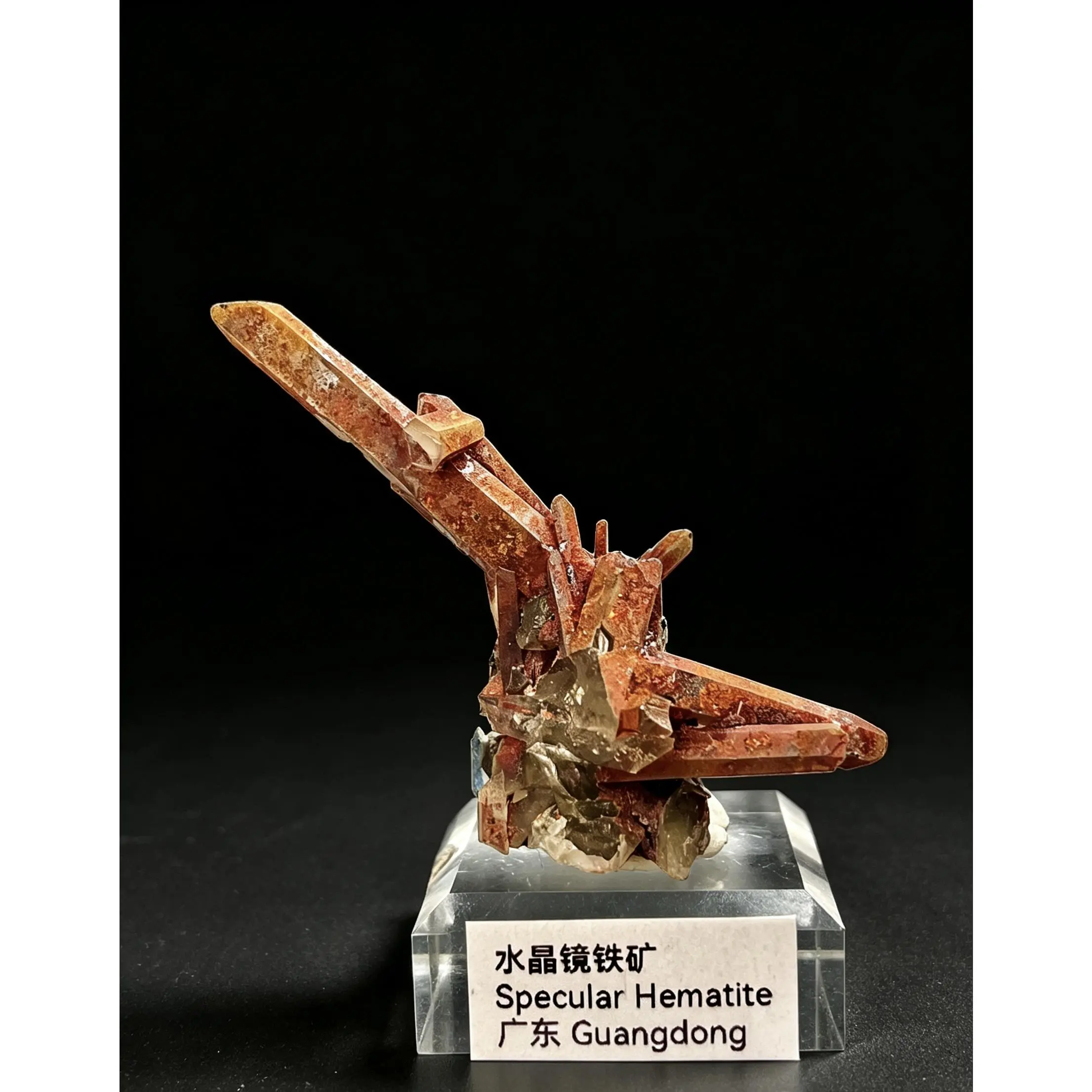 Quartz with Specular Hematite
