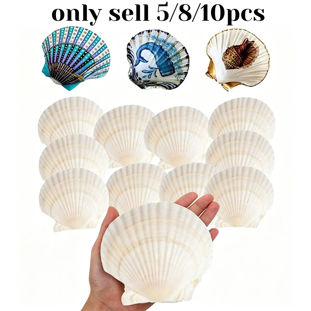 Natural Fan Shell, DIY Painting, Baking, Beach Wedding Decor, Seashell Large Pack, Ocean Theme Party, Home Decoration, Decorative Living Room Shell